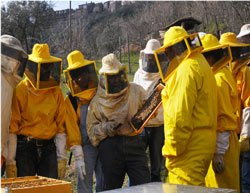 Scuola di apicoltura Michener - Lubriano