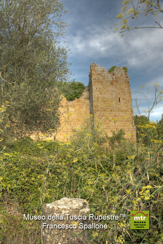 Castello dei Conti Di Vico