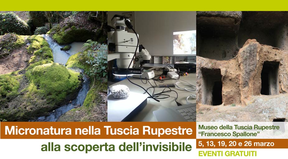 Micronatura nella Tuscia Rupestre